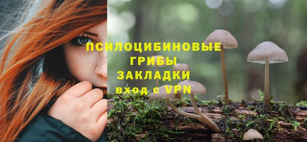 ешки Арсеньев
