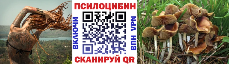 сколько стоит  Феодосия  Псилоцибиновые грибы Psilocybine cubensis 